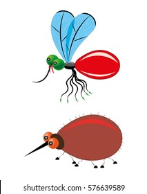 Insects mosquito and tick