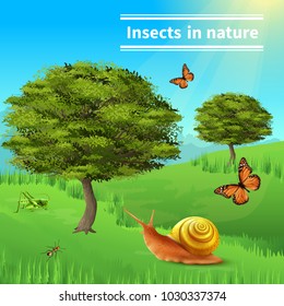 Insects in nature title realistic composition poster with grasshopper ants butterflies snail grass and trees vector illustration 