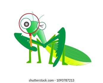 Insects are observing with a magnifying glass.

