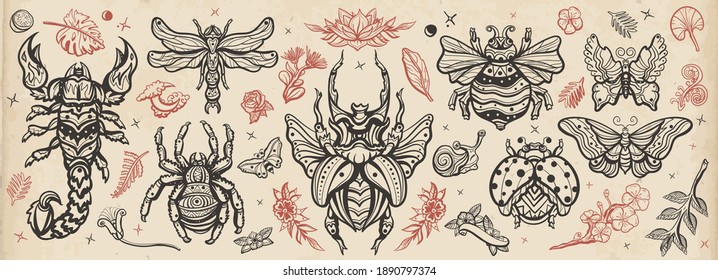 Inspira colección vectorial de tatuajes de la vieja escuela. Tatuajes tradicionales retro. Escarabajo, abeja, abejorra, mariposa, caracol, escorpión, mariposa, araña y libélula