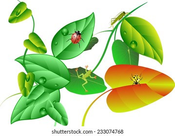 Insects on leaves of plants