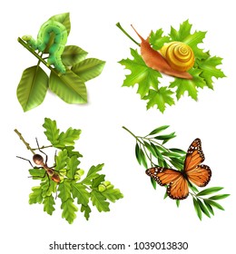 Insects on plants concept 4 realistic icons set with caterpillar snail butterfly and ant isolated vector illustration 