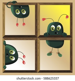 insects on the window