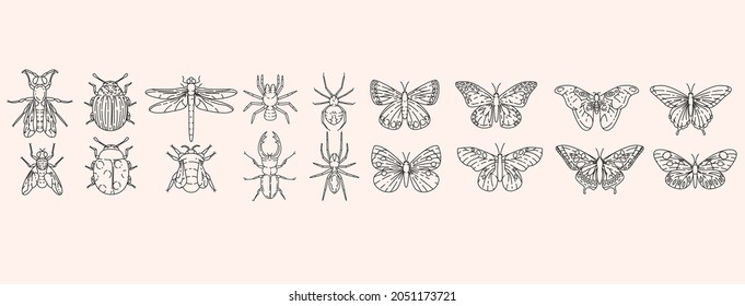 Insects outline elements collection. Meadow bugs line isolated set. Different beetles in contour design.