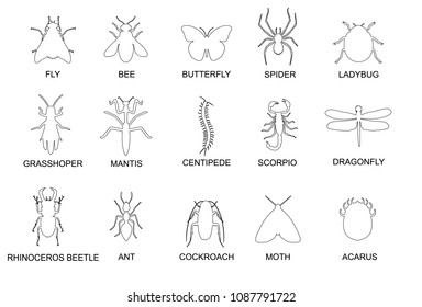 Insects & pest extermination thin line art icons set. Linear style symbols isolated on white.