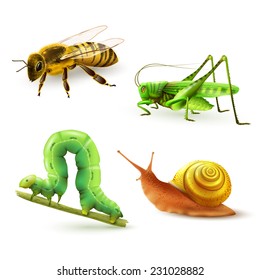 Insects realistic colored decorative icons set with wasp grasshopper caterpillar snail isolated vector illustration