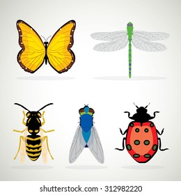 Insects realistic colored decorative icons set with ladybug snail wasp isolated vector illustration