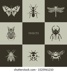 Insects in realistic style. Butterfly, ant, dragonfly, may beetle, wasp, ladybug, bumblebee. Perfect for printing, interior, poster, brand, printing on clothes, furniture items. Vector illustration.