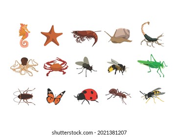Insects, reptiles amphibians - House fly, honey bee, scorpion, cockroach, lady bird, ant, butterfly, wasp, glass hopper