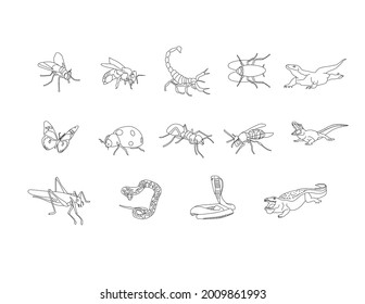 Insects, reptiles  amphibians line drawing clip art set 