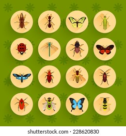 Insects round button flat icons set with fly dragonfly bee isolated vector illustration