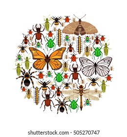  Insects Round Concep Sketch Vector Illustration