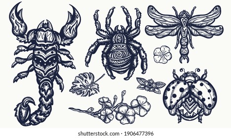 Insects. Scorpion, ladybug, spider and dragonfly. Old school tattoo vector art. Hand drawn cartoon character set. Isolated on white. Traditional tattooing style 