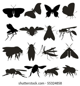 insects set