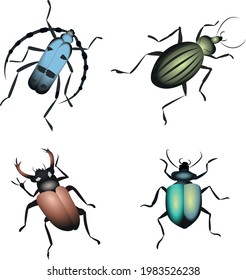 Colección de imágenes vectoriales de ilustraciones de escarabajos 