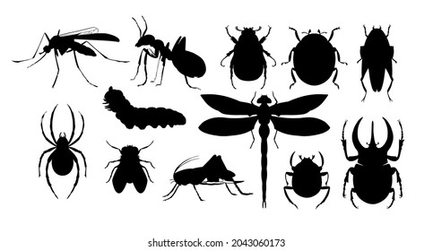 Insects set. Hand drawn sketch vector illustration. Beetles, dragonfly ,spider, caterpillar, mosquito, fly.