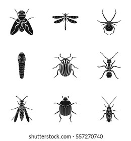 Insects set icons in black style. Big collection of insects vector symbol stock illustration