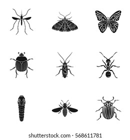 Insects set icons in black style. Big collection of insects vector symbol stock illustration