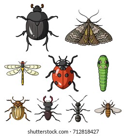Insects set icons in cartoon style. Big collection of insects vector symbol stock illustration svg