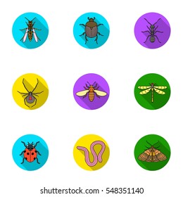 Insects set icons in flat style. Big collection of insects vector symbol stock illustration