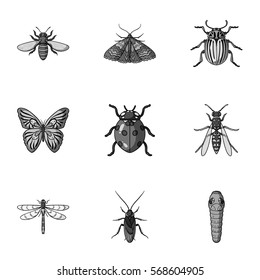 Insects set icons in monochrome style. Big collection of insects vector symbol stock illustration