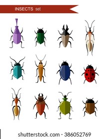 Insects set. Set of insects on white background. Vector insects