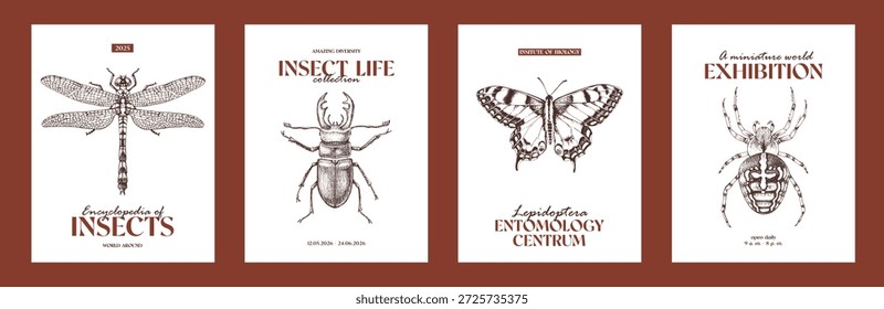 Insetos. Conjunto de cartazes com libélula, besouro veado, borboleta e aranha
