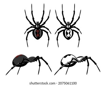 Insects set. Spider danger venom horror poisonous black symbols set. Spider top view, side view.