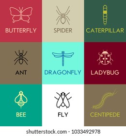 Insects set vector flat design icons on different colors background. Insects vector illustration. Insects logo template