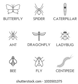 Insects set vector flat design icons on white background. Insects vector illustration. Insects logo template