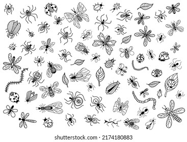 
Insects set vector hand drawn outline illustration isolated on white. Vector butterfly, bee, dragon, grasshopper, cockroach, beetle.