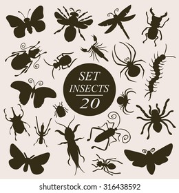 Insects set. vector illustration