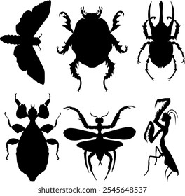 Insects silhouette collection vector art