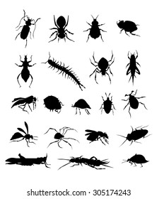 Insects Silhouette Set