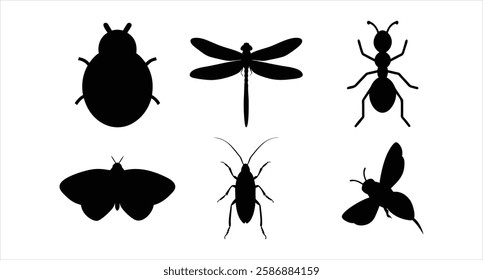 Insects Silhouette Set Collection of Bug Silhouettes Vector Illustration for Digital