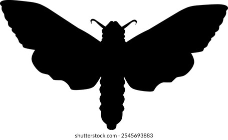 Insects silhouette vector art black and white