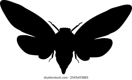 Insects silhouette vector art black and white