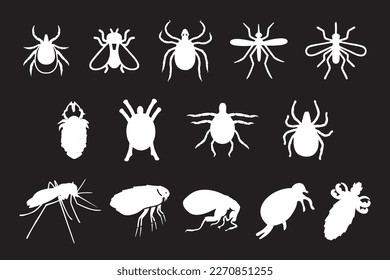 insects silhouette white bugs on a black background