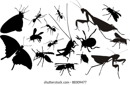 insects silhouettes