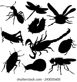 Insects Silhouettes Set