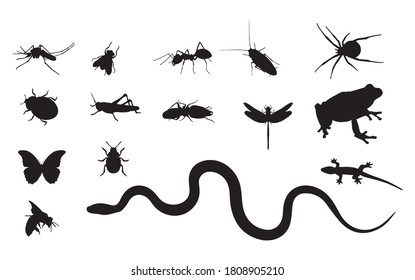 Insects silhouettes of various insects