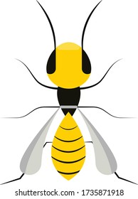 Insects simple clip art vector illustration