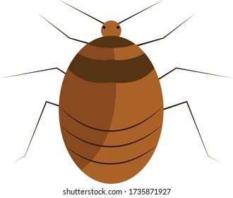 Insects simple clip art vector illustration
