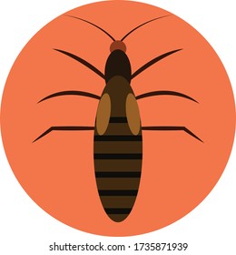 Insects simple clip art vector illustration
