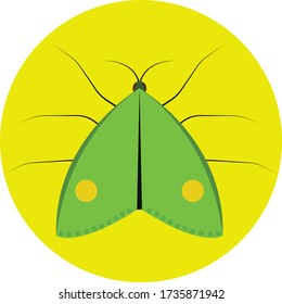 Insects simple clip art vector illustration