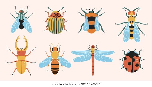 Insects simple elements collection. Meadow bugs and beetles flat isolated set. Different flies in trendy flat design.