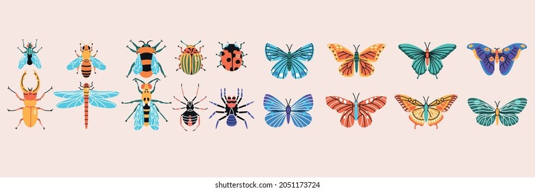 Insects simple elements collection. Meadow bugs and beetles flat isolated set. Different flies in trendy flat design.