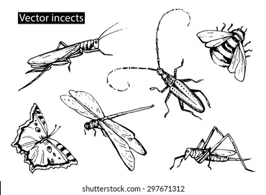 Insects Sketch Decorative Icons Set Dragonfly Stock Vector (royalty 