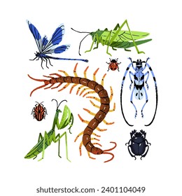 Insects species set. Various beetles, bugs. Ladybug, dragonfly, green grasshopper, centipede, mantis, sacred scarab. Exotic fauna. Flat isolated hand drawn vector illustrations on white background