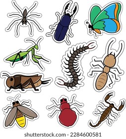 Colección de pegatinas de insectos, insecto vector, ilustración de animales salvajes